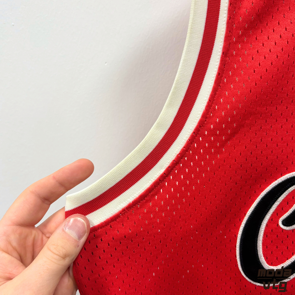 Vintage 90s Chicago Bulls Home Jersey Medium Red Pippens #33 Champion